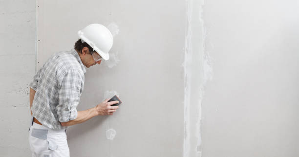 Best Air Quality Testing for Mold Spores  in St Peters, MO