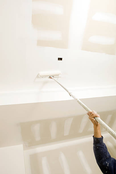 Trusted St Peters, MO Mold Removal Experts